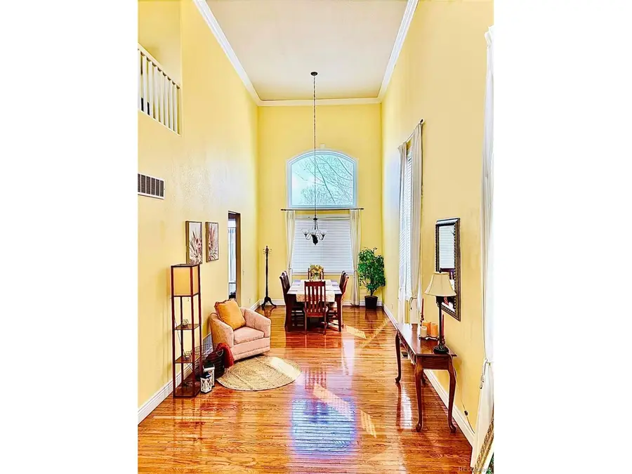 9882 Sylvestor Rd, Highlands Ranch, CO 80129 - #3