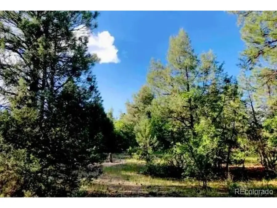 131 Retreat Ct, Pagosa Springs, CO 81147 - #3