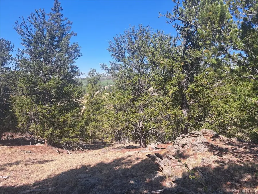 481 Ramrod Way, Como, CO 80432 - #3