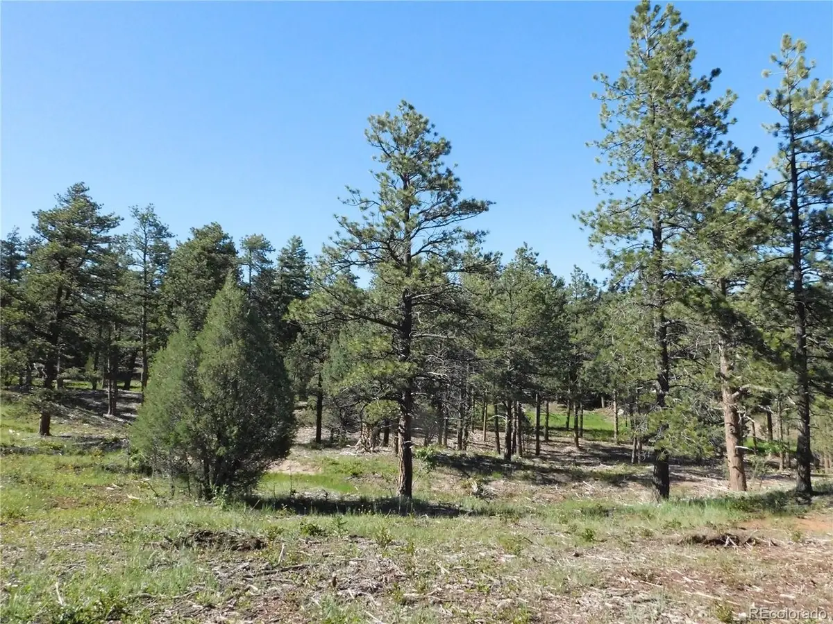 7514 Seminole Dr, Larkspur, CO 80118 - #1