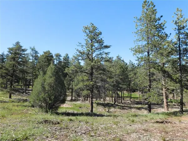7514 Seminole Dr, Larkspur, CO 80118
