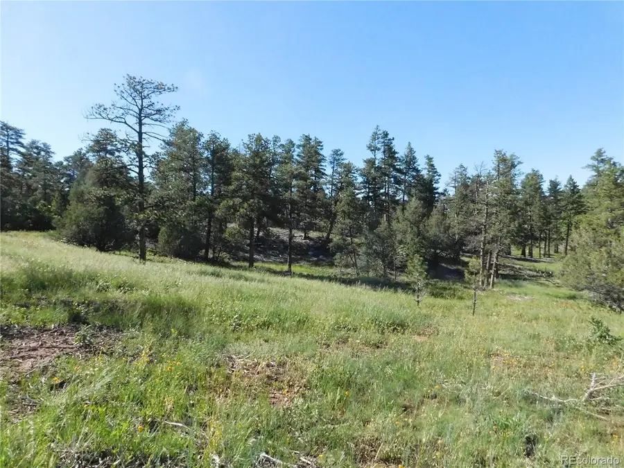 7514 Seminole Dr, Larkspur, CO 80118 - #3