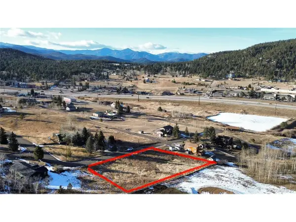 9802 Arnold St, Conifer, CO 80433