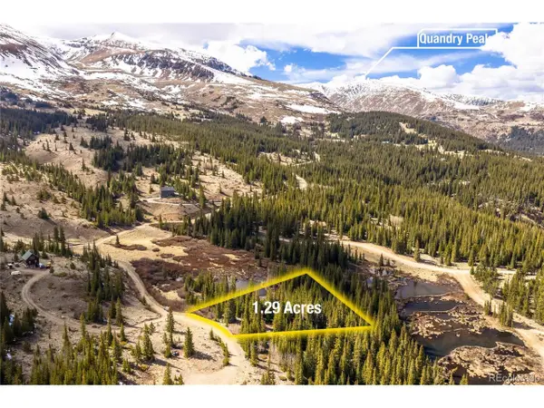 199 Zinc Rd, Alma, CO 80440