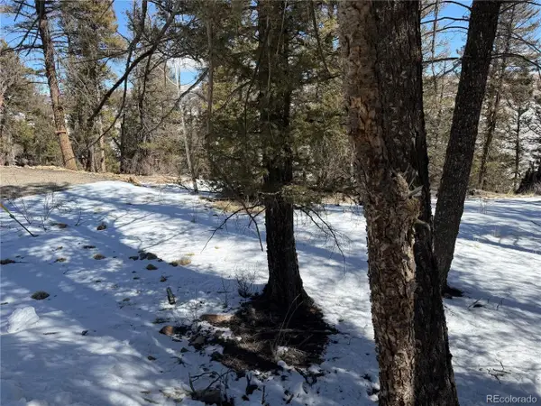 806 Middle Fork Vis, Fairplay, CO 80440