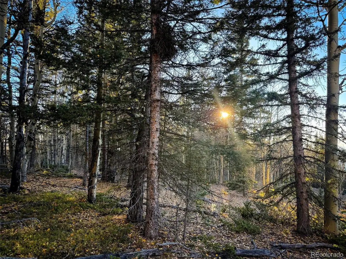 6817 Heckman Rd, San Luis, CO 81152 - Image #1