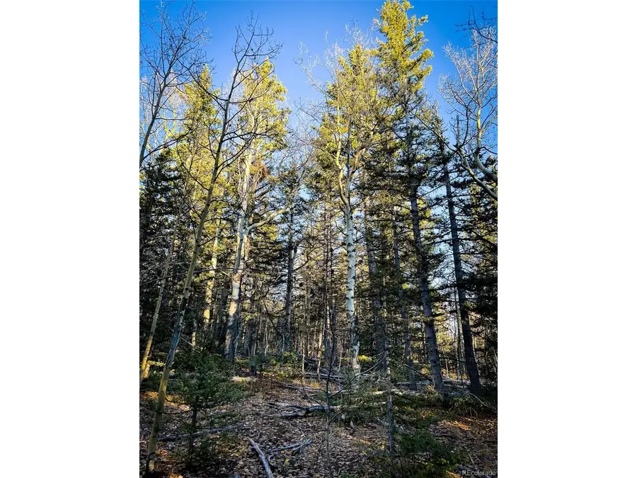 6817 Heckman Rd, San Luis, CO 81152 - Image #3