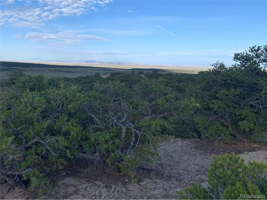 1719 Nogales Rd, Fort Garland, CO 81133 - #2