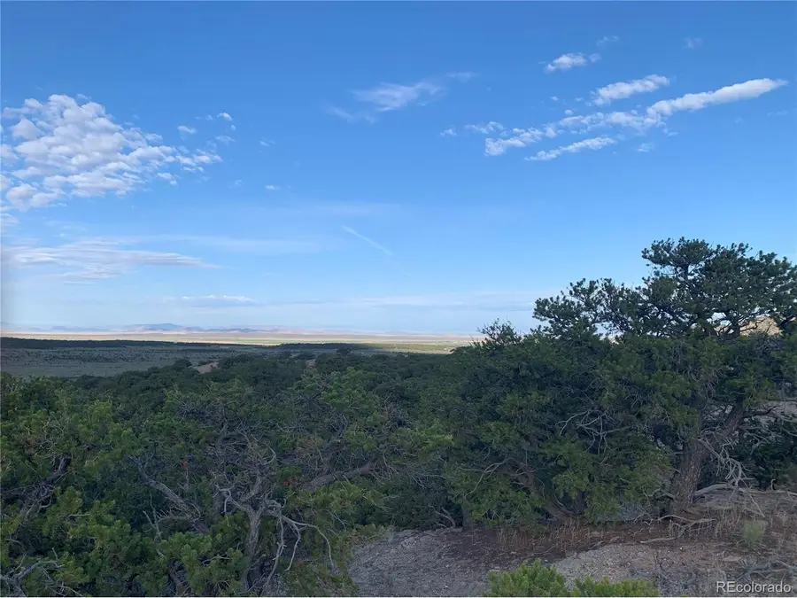 1719 Nogales Rd, Fort Garland, CO 81133 - #3