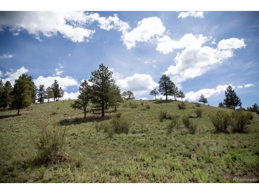 Address Withheld By Seller, Creede, CO 81130 - #2