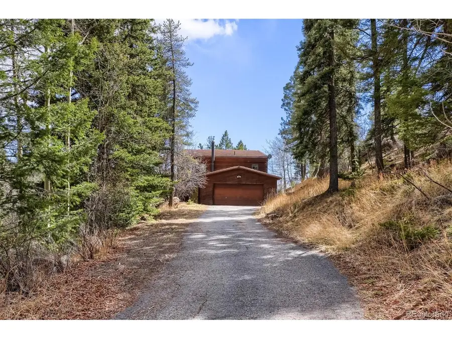 29821 Kings E Vly, Conifer, CO 80433 - #3