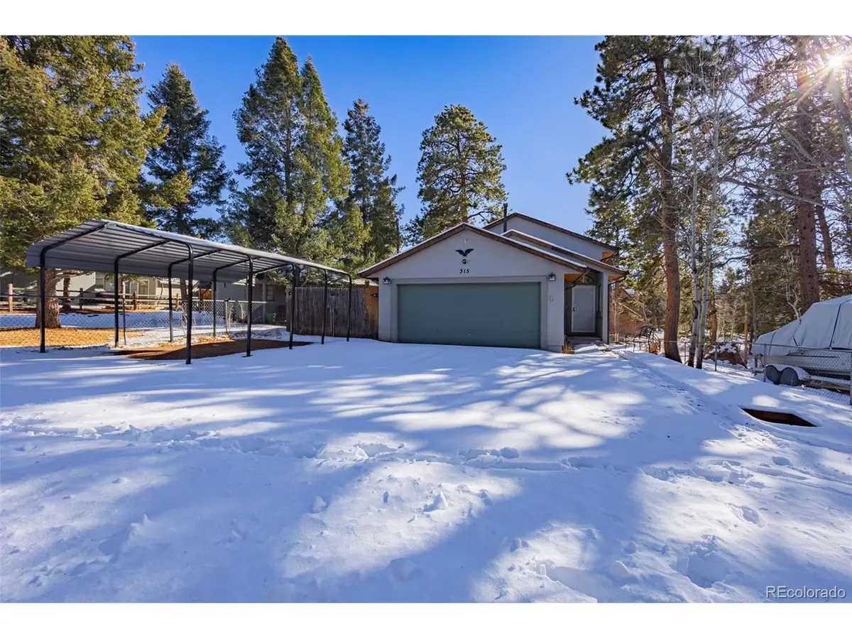 315 E Gunnison Ave, Woodland Park, CO 80863 - #1