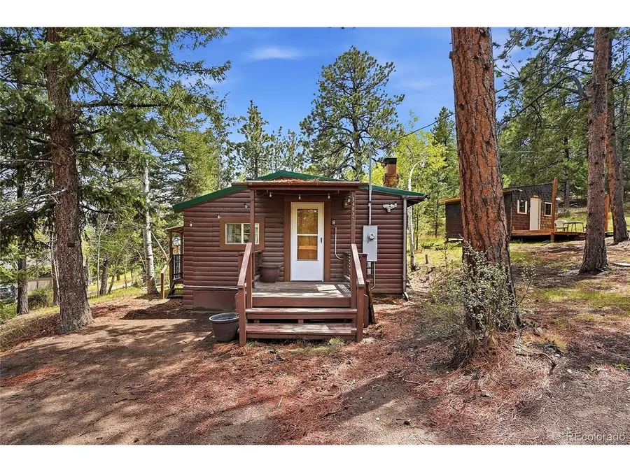 14032 S Olive Ave, Pine, CO 80470 - #3