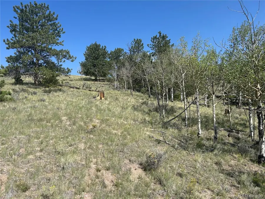 11414 Ranch Rd, Hartsel, CO 80449 - #2