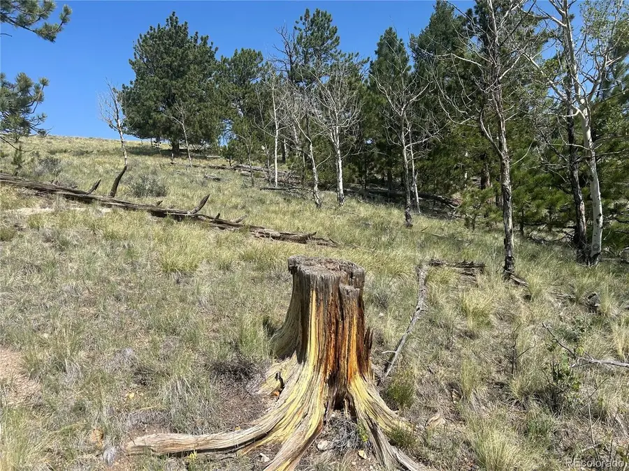 11414 Ranch Rd, Hartsel, CO 80449 - #3