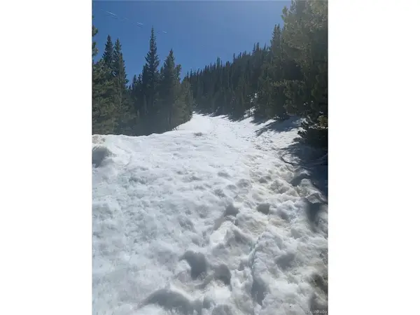 Hilltop Rd, Idaho Springs, CO 80452