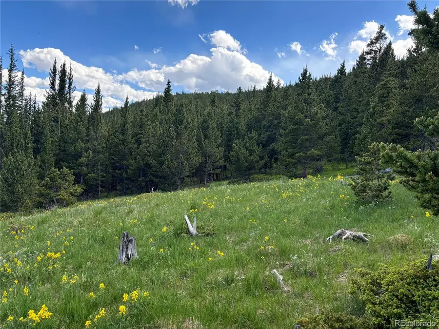 Hilltop Rd, Idaho Springs, CO 80452 - #3