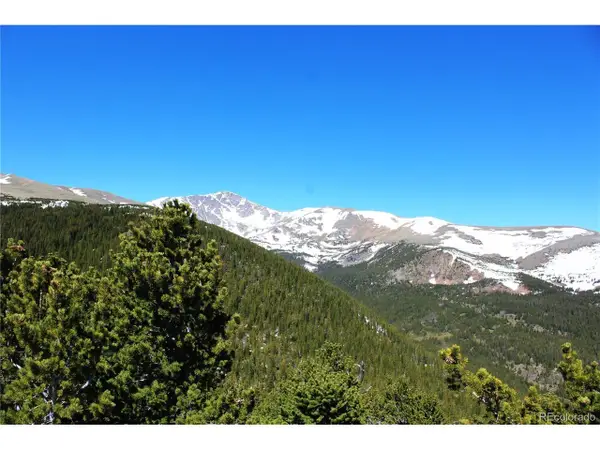 19420 Kingston Peak Rd, Black Hawk, CO 80422