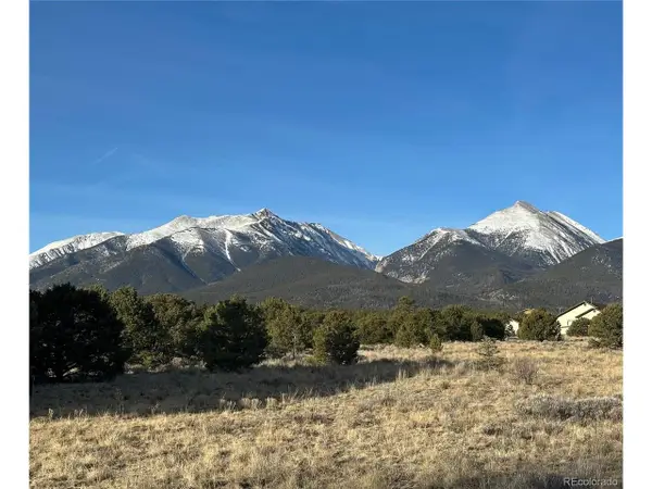 12880 County Road 261b, Nathrop, CO 81236