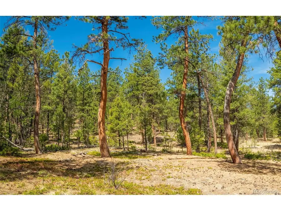 29700 S Sunset Trl, Conifer, CO 80433 - #3