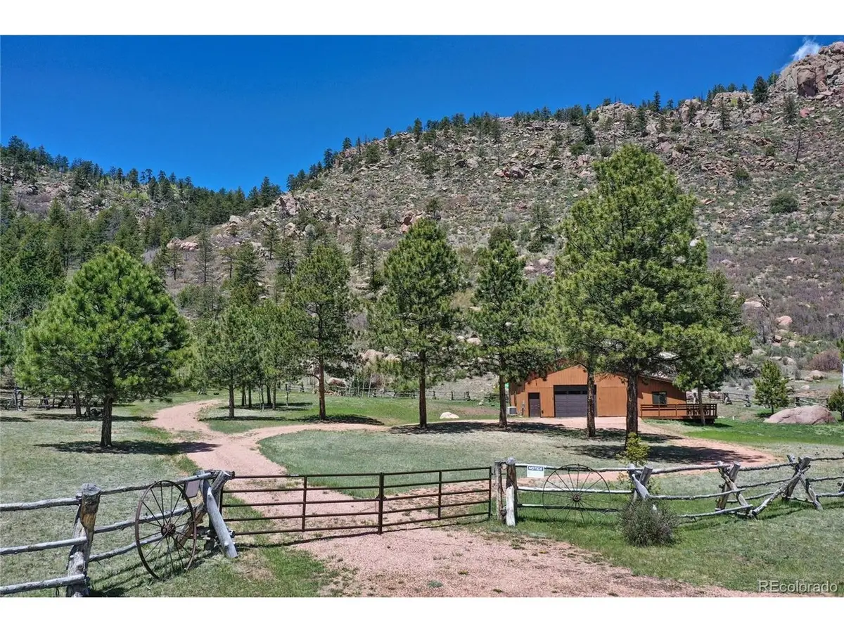 437 Langnis Rd, Guffey, CO 80820 - #1