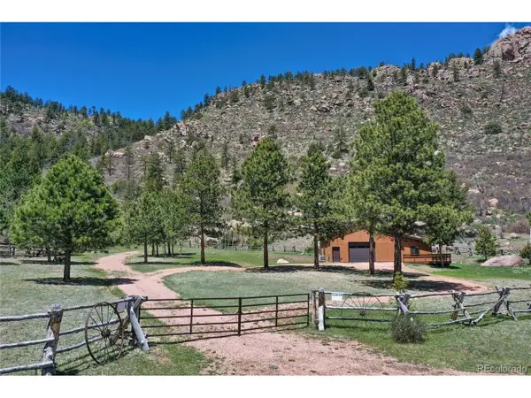 437 Langnis Rd, Guffey, CO 80820