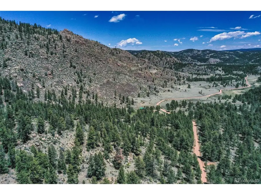 437 Langnis Rd, Guffey, CO 80820 - #3