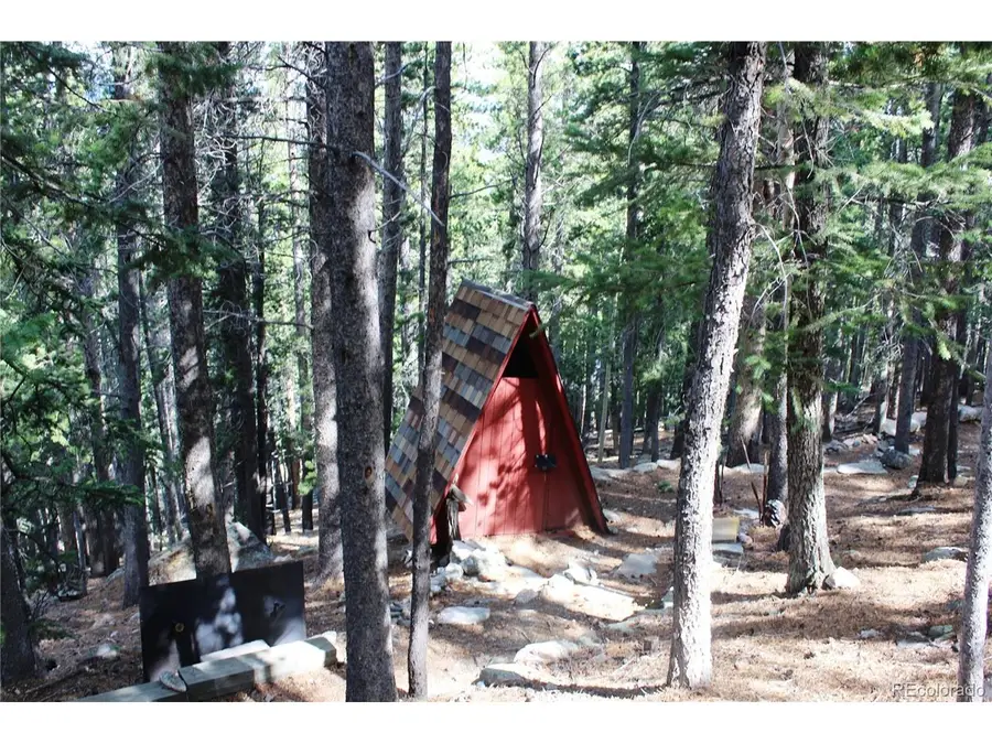 3504 Hidden Wilderness Rd, Idaho Springs, CO 80439 - #2