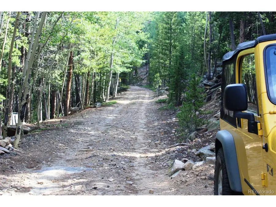 3504 Hidden Wilderness Rd, Idaho Springs, CO 80439 - #3