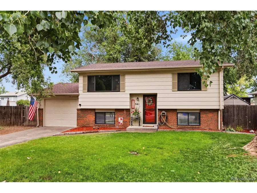 541 Sycamore Dr, Windsor, CO 80550 - #2
