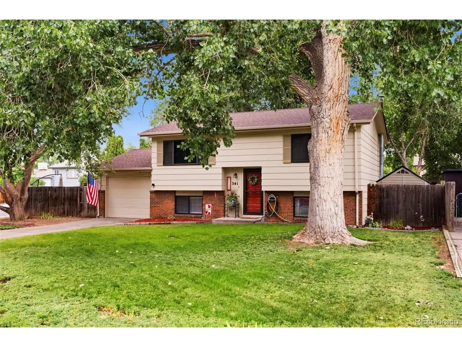 541 Sycamore Dr, Windsor, CO 80550 - #3