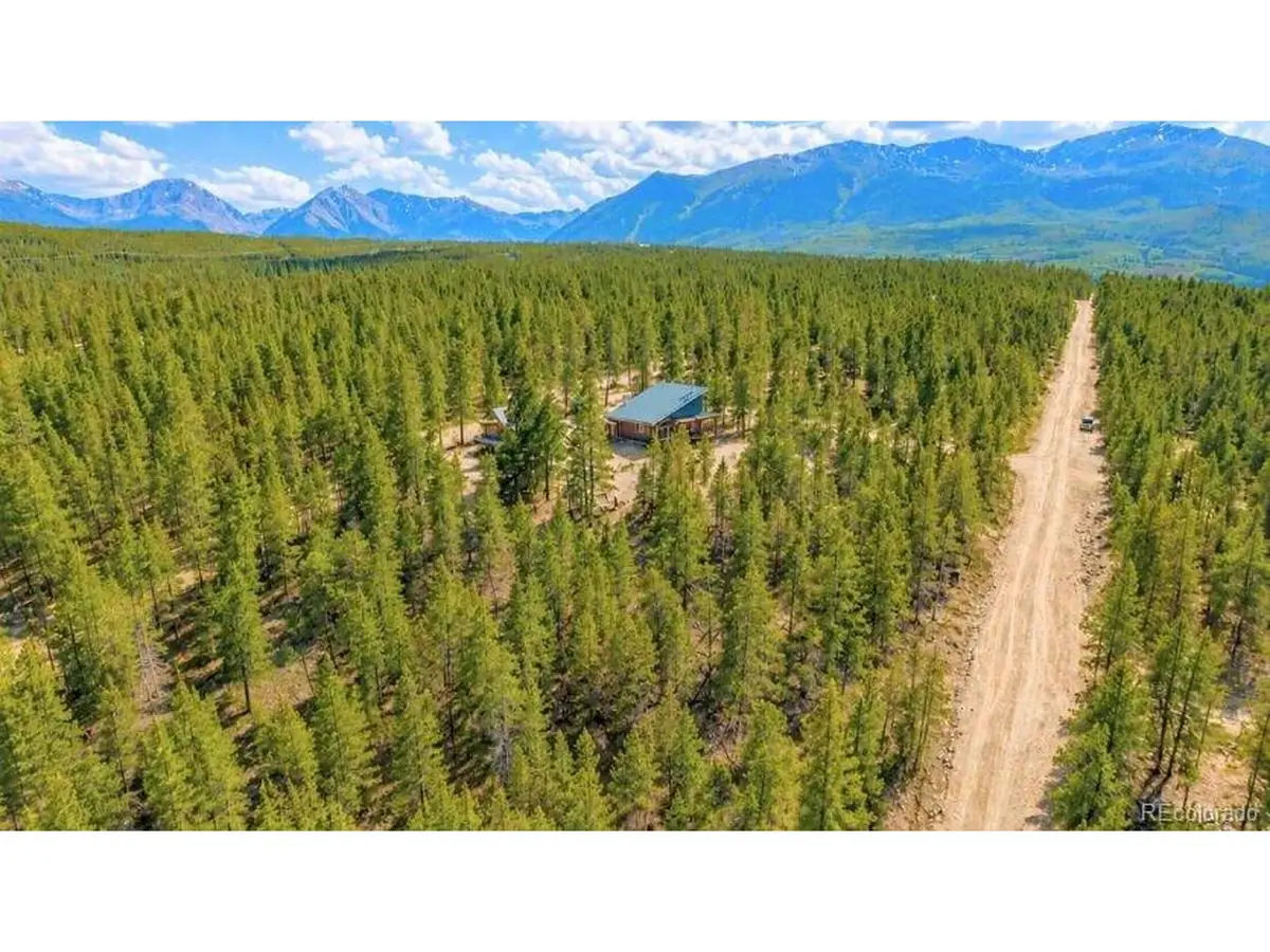 56 Lodgepole Dr, Leadville, CO 80461 - #1