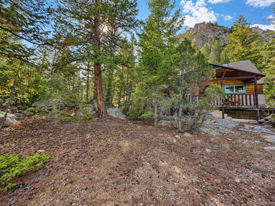 15 Junction Loop Rd, Empire, CO 80438 - #3