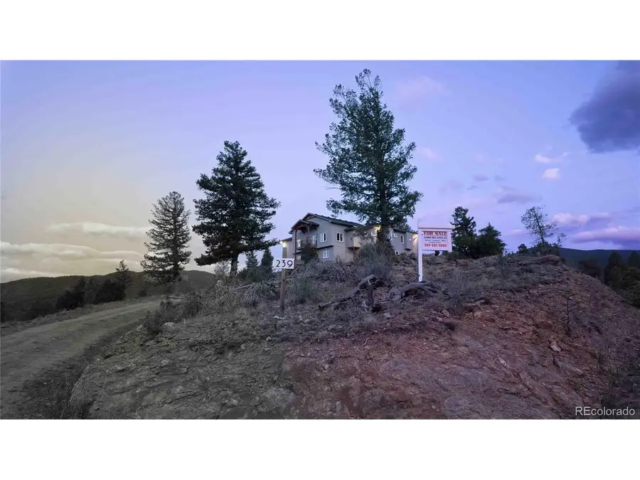 Address Withheld By Seller, Idaho Springs, CO 80452 - #2