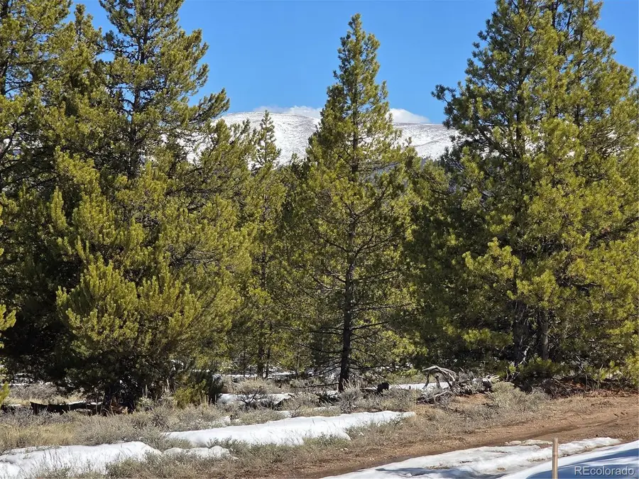 378 Ponderosa Dr, Twin Lakes, CO 81251 - #2