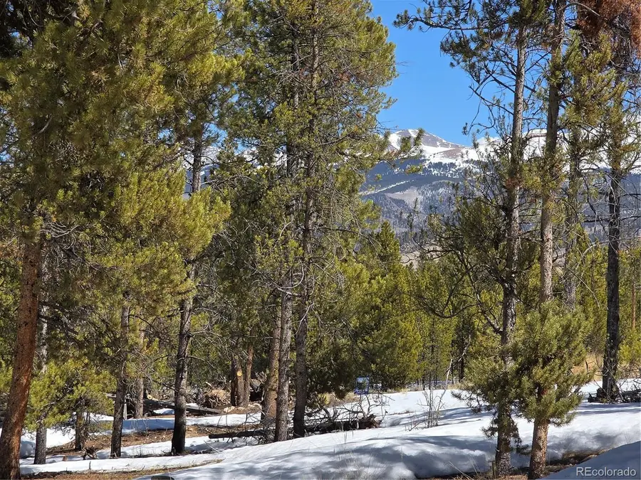 378 Ponderosa Dr, Twin Lakes, CO 81251 - #3