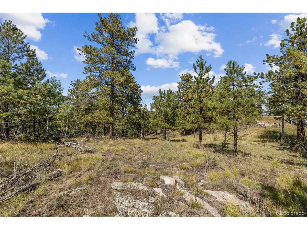 0 Mockingbird Trl, Bailey, CO 80421 - #1