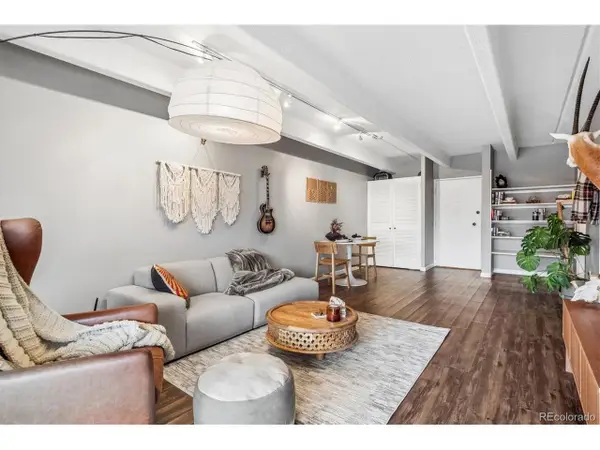 1255 N Ogden St #205, Denver, CO 80218