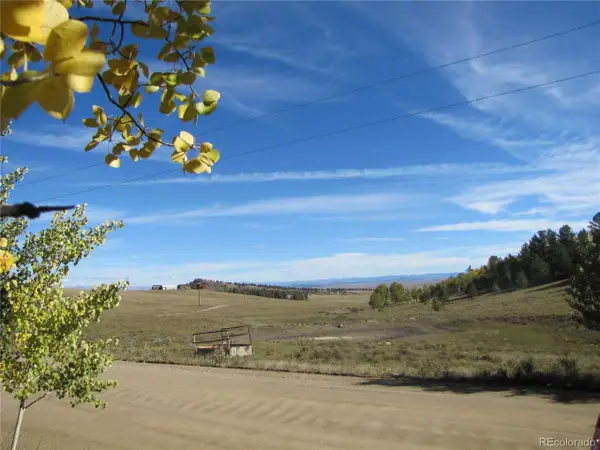 699 Campfire Rd, Hartsel, CO 80449