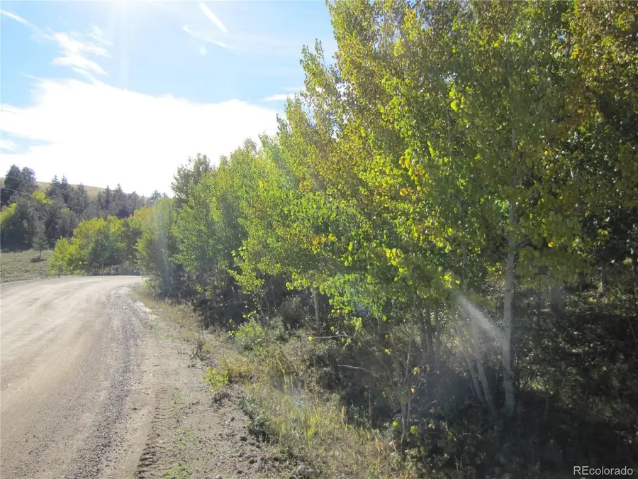 699 Campfire Rd, Hartsel, CO 80449 - #3