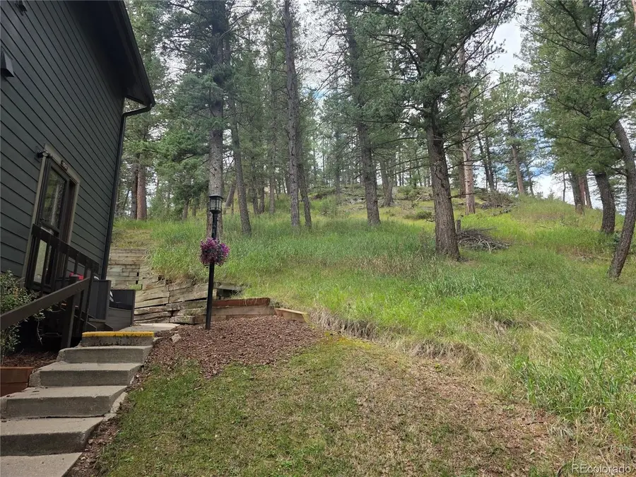 4897 Silver Spruce Ln, Evergreen, CO 80439 - #2