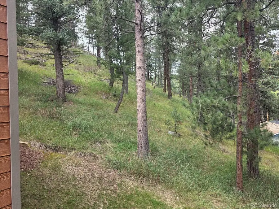4897 Silver Spruce Ln, Evergreen, CO 80439 - #3