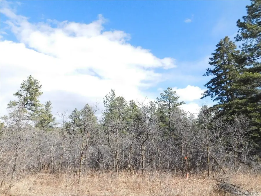 8122 Acoma Dr, Larkspur, CO 80118 - #2