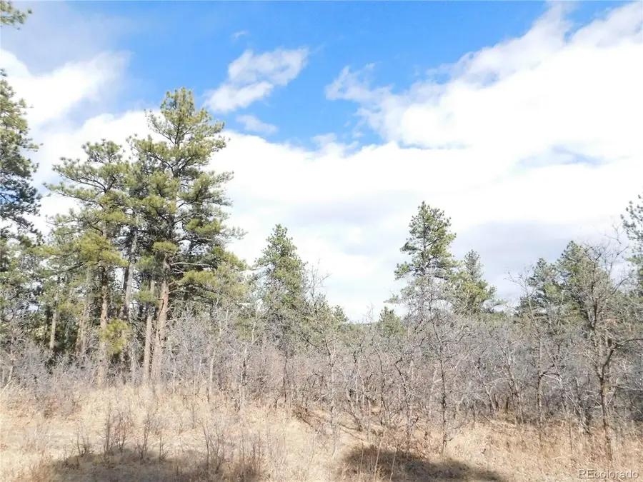 8122 Acoma Dr, Larkspur, CO 80118 - #3