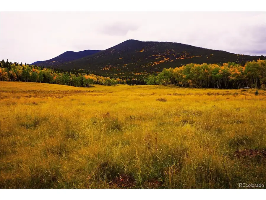 2469 Petito Dr, Fort Garland, CO 81133 - Image #2