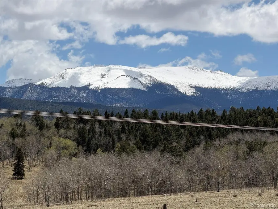 538 Friar Tuck Dr, Divide, CO 80814 - #3