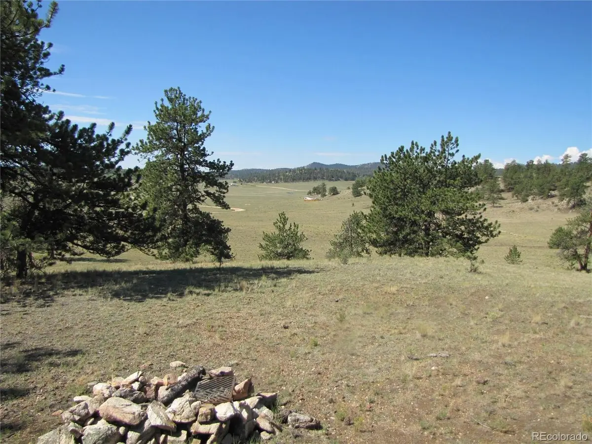 984 Arapahoe Trl, Hartsel, CO 80449 - #1