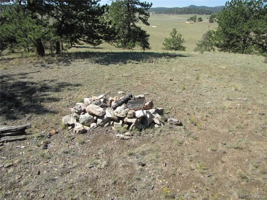 984 Arapahoe Trl, Hartsel, CO 80449 - #2