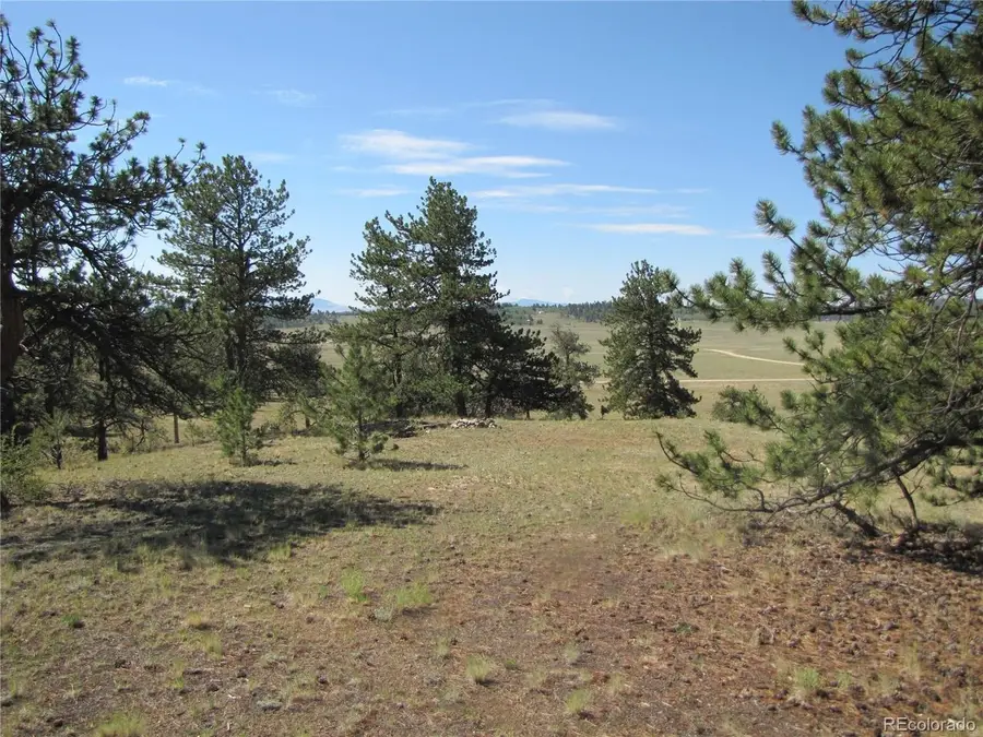 984 Arapahoe Trl, Hartsel, CO 80449 - #3
