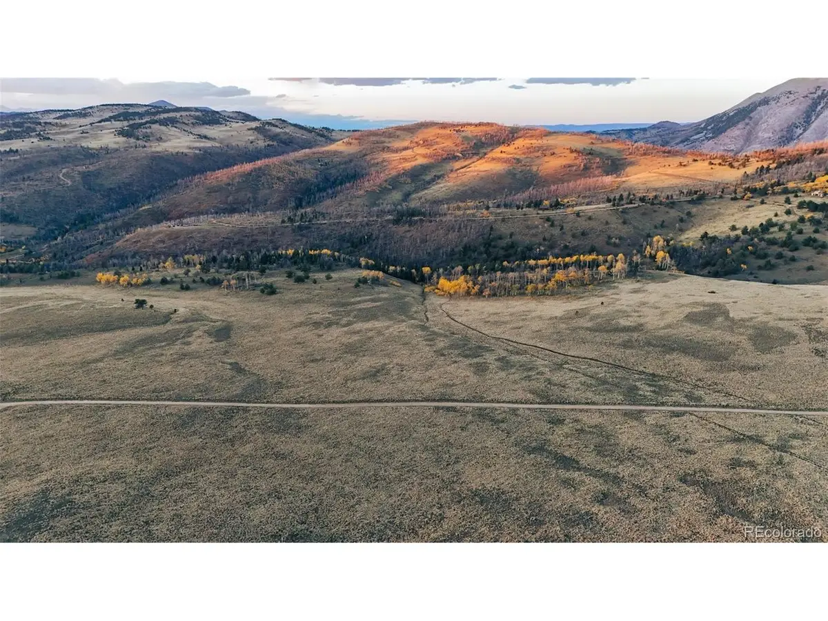 409 Brophy Dr, Fort Garland, CO 81133 - #1